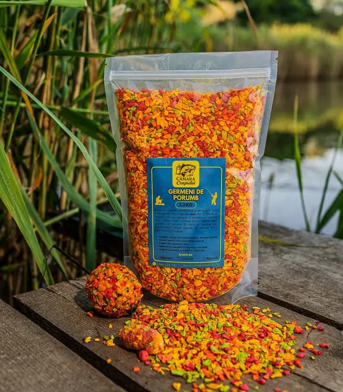 Germeni de porumb pentru nadire crap - Camara crapului